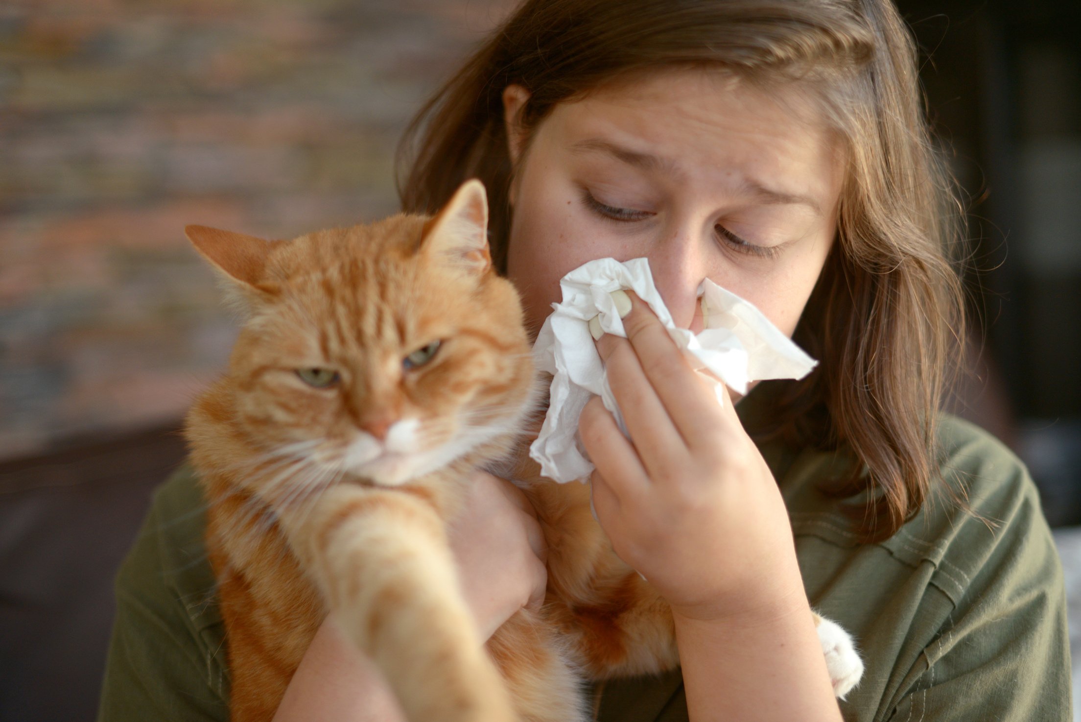 Woman Sneezing on Tissue While Carrying a Cat